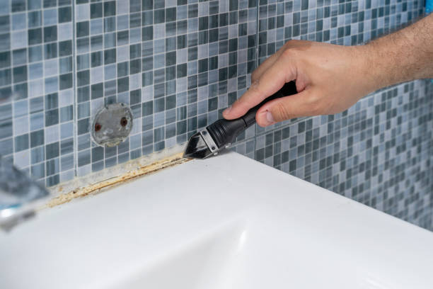 Best Localized Mold Remediation (e.g., coastal areas, humid climates) in Solon, OH